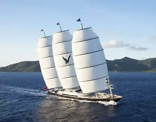 International Maritime Expertise